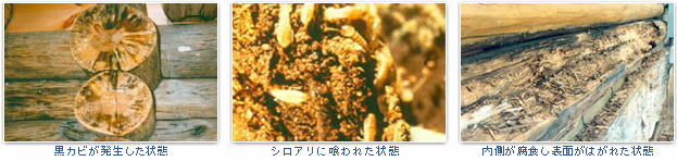 黒カビが発生した状態 シロアリに喰われた状態 内側が腐食し表面がはがれた状態